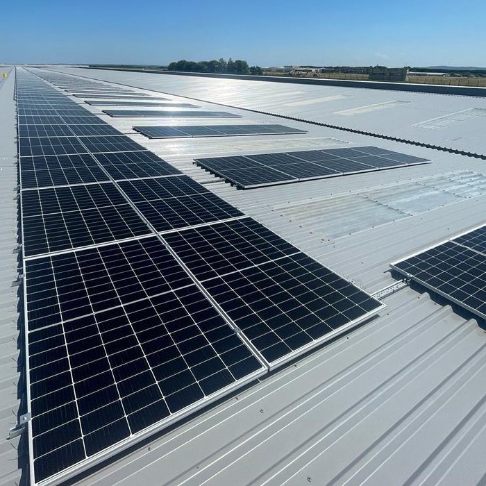 Warehouse solar panels with bird control netting