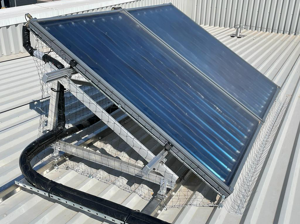 Solar panels showing bird netting 